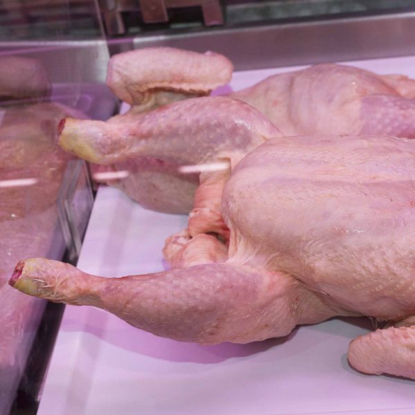 venta de pollos en carniceria de gijon